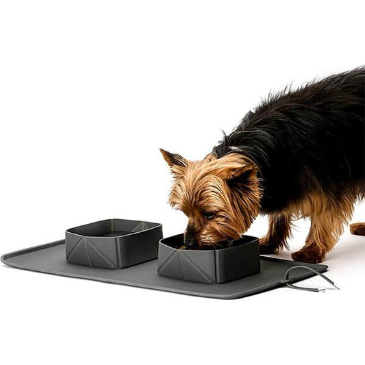 2 in 1 Portable Collapsible Double Pet Bowls Feeding Mat Set